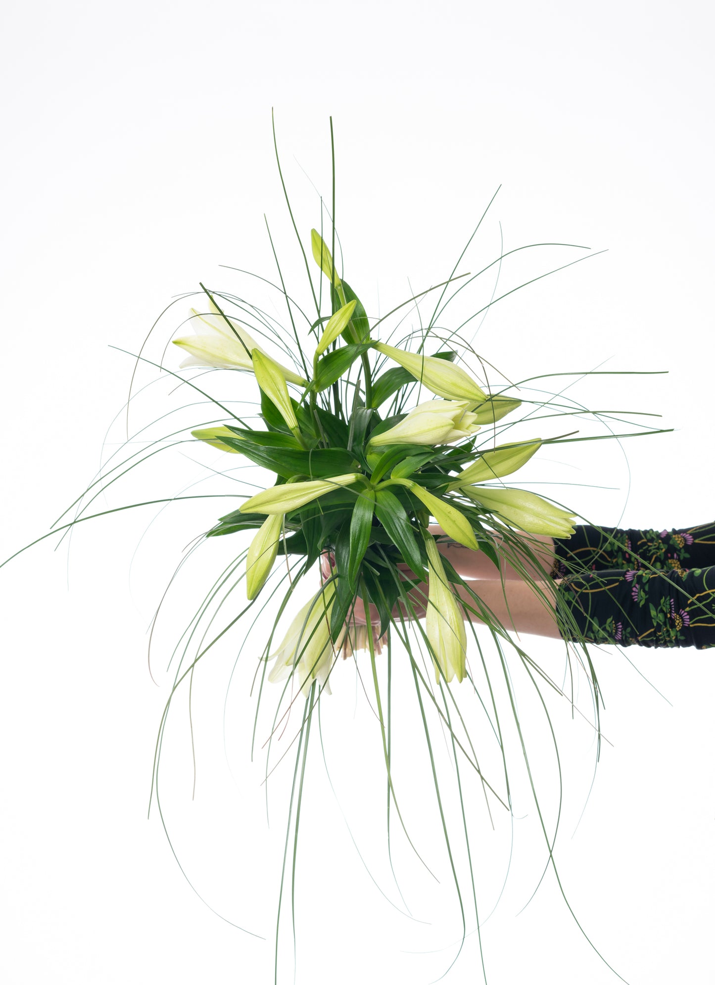 Strauß Pure Elegance